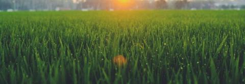 Aurora shares rise following update