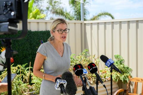 Mettam at odds with federal Libs on critical minerals