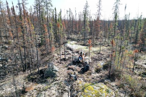 Lithium Universe moves to close “lithium conversion gap”