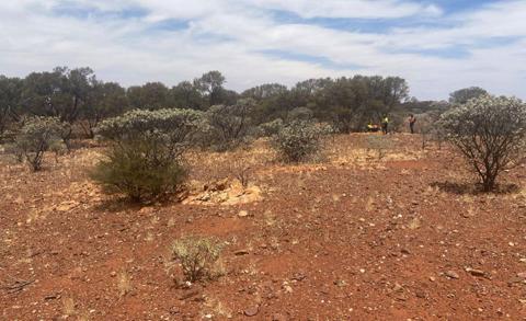 Premier1 appoints new MD