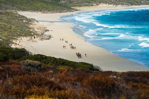 Stepping out for youth mental health