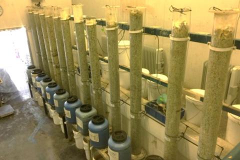 Red Metal unveils enhanced metallurgy for QLD rare earths