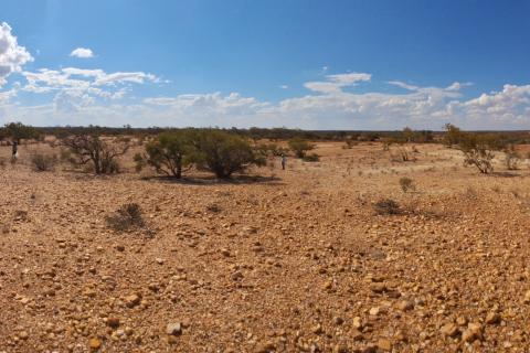 Reach to run heritage rule over Wabli rare earths play