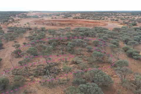 Aurumin sticks “real” iron into Sandstone gold fire