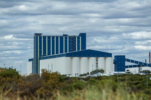WA barley beguiles Brazil brewers