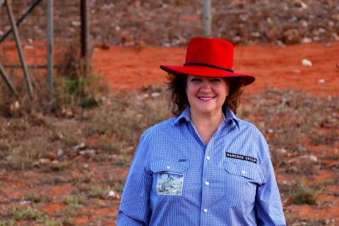 Hancock ups stake in $5bn magnetite project