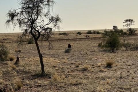 Yabba dabba doo: Middle Island spins drill bit in NT
