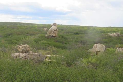 Lithium samples light up for Gold Mountain in Brazil