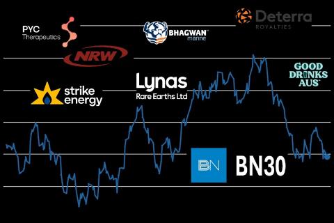 Seven newcomers in BN30 refresh