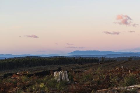 ABx drilling widens Tasmanian rare earths footprint