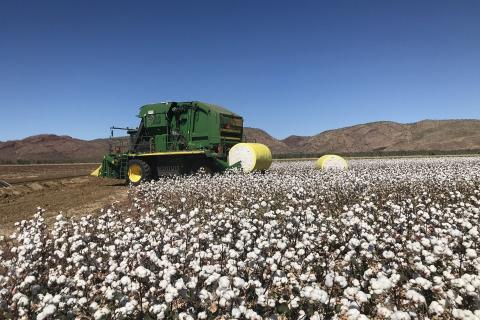 Another twist in Namoi Cotton bidding war