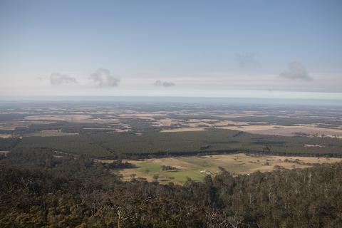 Qantas, miners back carbon fund