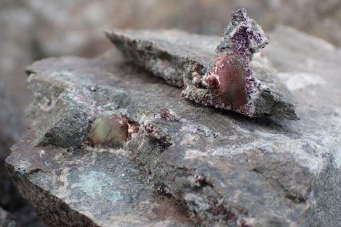 White Cliff bears down on multi-mineral targets in Canada