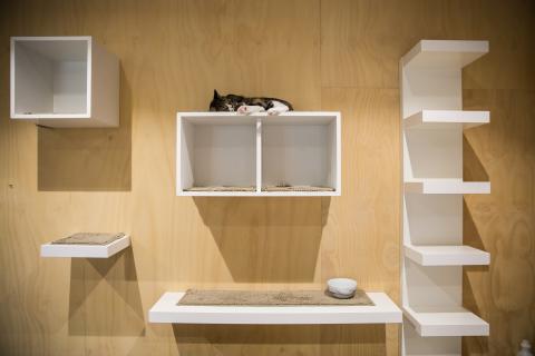 State awards $9.8m contract for pet database