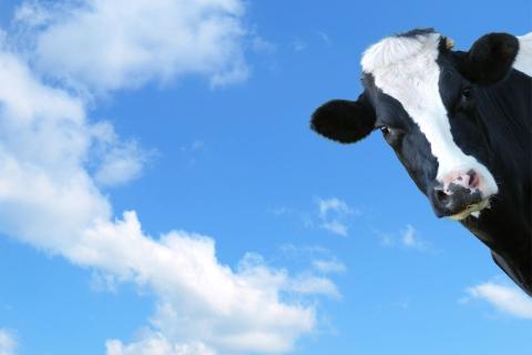 Emissions reductions will come at a cost