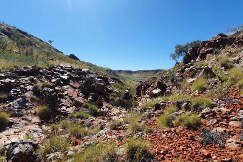 Novo, De Grey to march forward with WA gold partnership