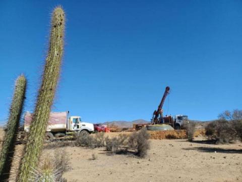 Culpeo appoints interim executive chair