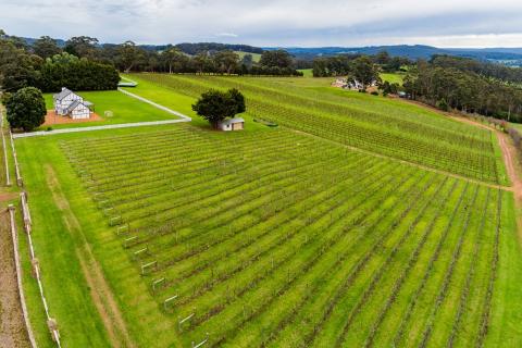 Castelli wine estate on market