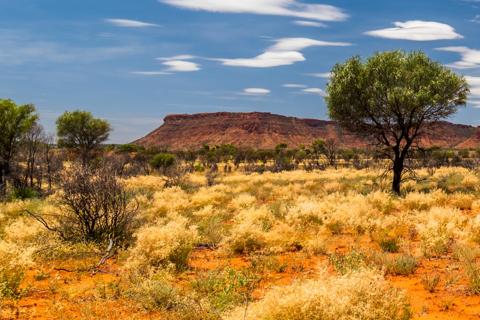 BMG set to drill Abercromby near Wiluna