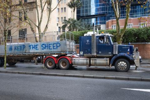 Sheep farmers face a hard road ahead