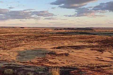 Lycaon sweats on West Arunta niobium assays