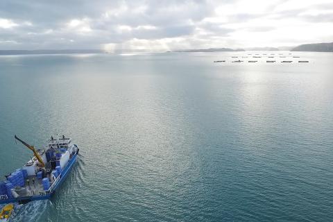 Tassal's barramundi farm off the Kimberley coast. Photo: Cone Bay Barramundi.