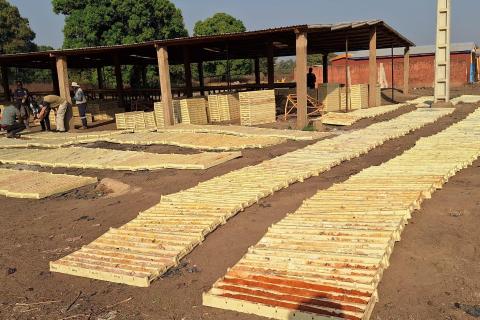 Aurum Resources’ core farm_Boundiali_Côte d'Ivoire