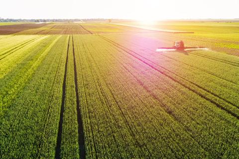 The curious case of Kennedy