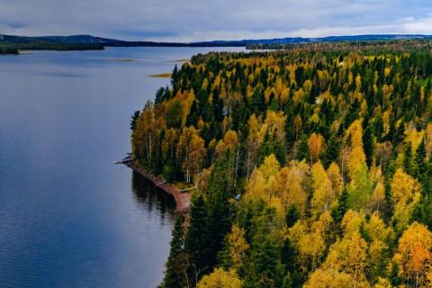 LATITUDE 66_FINLAND_BULLSNBEARSWA use