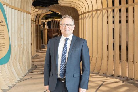 Arts needs political will, vision