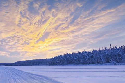 LATITUDE66_KSB_BULLSNBEARSWA (1)