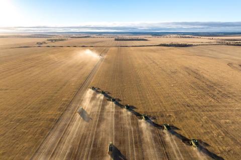 Merredin Farms has been split up among about six buyers. Photo: Colliers Agribusiness.