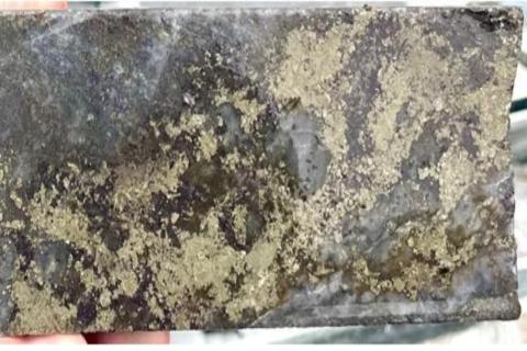 STRICKLAND_SHANAC_BULLSNBEARSWA