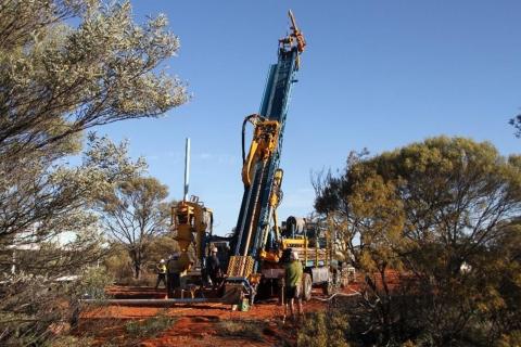 wildflower drilling feb25