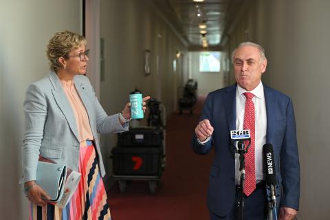 Independent MP Zali Steggall confronted Special Minister of State Don Farrell over the changes. Photo: AAP/Mick Tsikas.