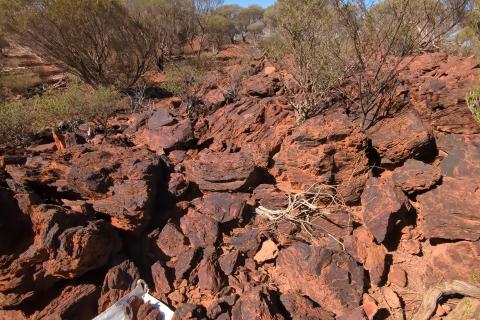 Aurumin Central Sandstone iron mineralisation