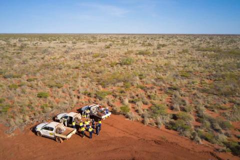 De Grey's Hemi project