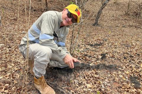 ESTRELLA_CHRIS DAWS Maganese_BULLSNBEARS