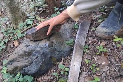 ESTRELLA_SORU MN_BULLSNBEARSWA