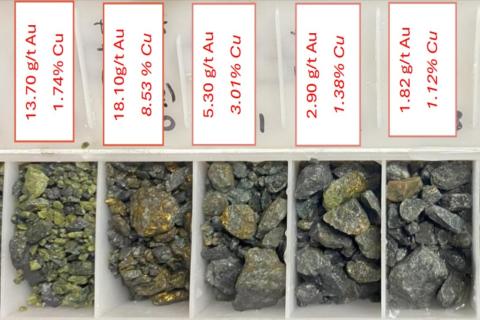 JAVELIN_COOGEE DRILL CHIPS_BULSSNBEARSWA