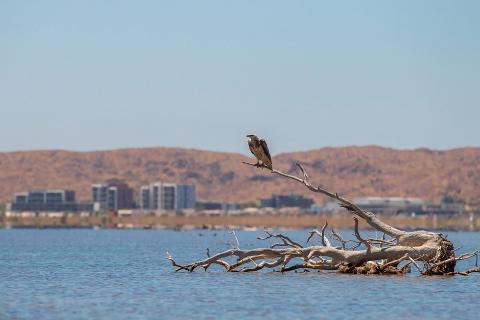 The West Pilbara Water Supply Scheme supplies Karratha.