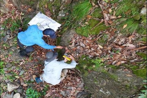 NOVO RESOURCES_JohnBullNSW_BNB250227