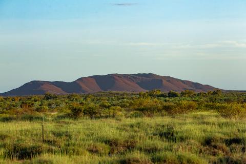 Robe Mesa is named after the mesas common in the Pilbara. Photo: Tom Zaunmayr.