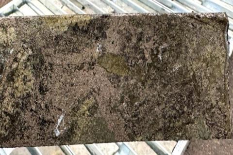 STRICKLAND_GRADINA_BULLSNBEARSWA