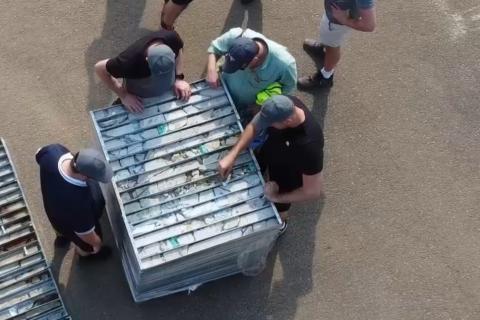 STRICKLAND_ROGOZNA CORE_BULLSNBEARSWA