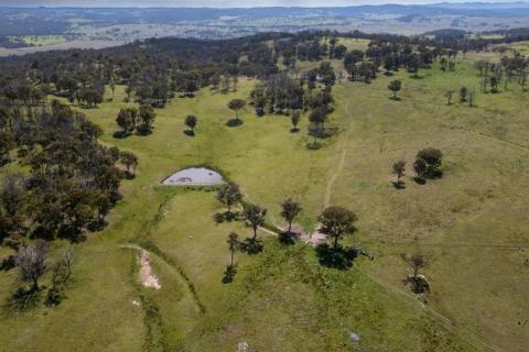 THUNDERBIRD_ROCKVALE_BULLSNBEARSWA (1)