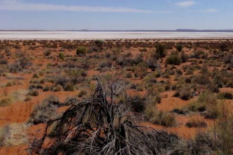 TORO_LAKE MAITLAND_BULLSNBEARSWA