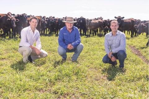 John Hartman with Harvest Road’s chief operating officer pastoral, Ben Dwyer, and acting chief executive Tim Wood at Koojan Downs. Photo: Michael O’Brien.