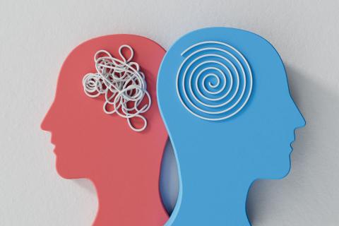 Almost half of Australians aged 16-85 have experienced a mental health disorder at some point in their lives, according to the ABS.