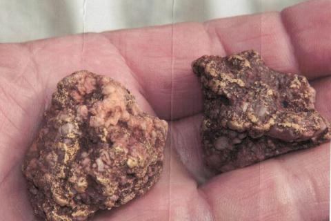 BMG_INVINCIBLE_Au_BULLSNBEARSWA_1440X960